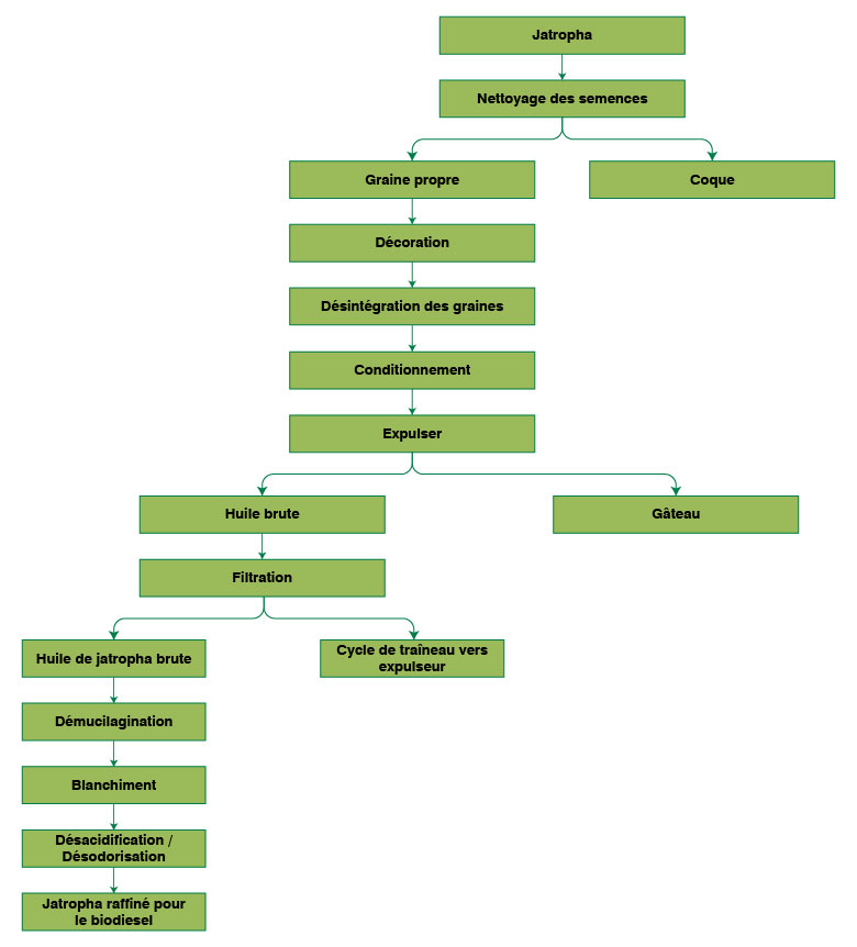 Organigramme du processus de fabrication de l’huile de jatropha