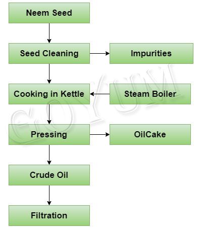neem seed oil extraction plant process flowchart