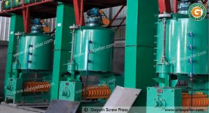 50 TPD Turnkey Soybean Oil Mill Project Installed In Africa