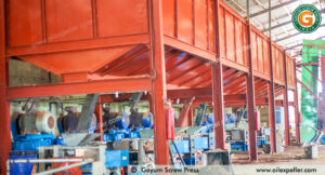 120 ton per day palm kernel oil mill plant in nigeria