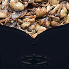 Cashew Nut Shell process Flowchart
