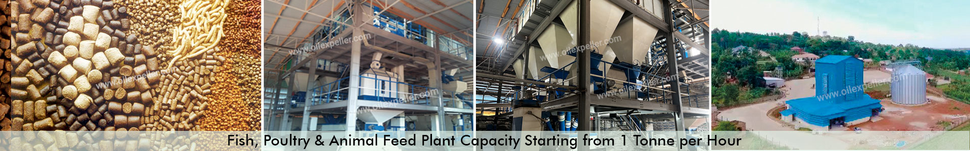 Fish, Poultry & Animal Feed Mill Plant