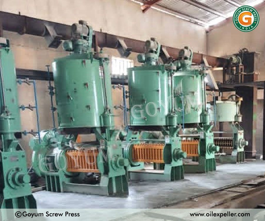 15 tpd oil extraction machine