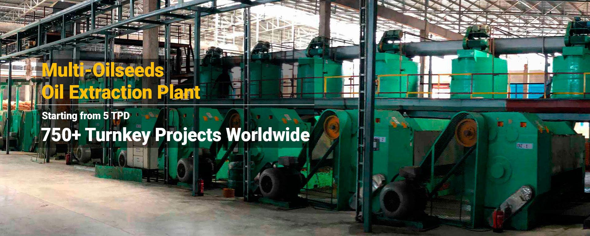Multi seed oil extraction plant