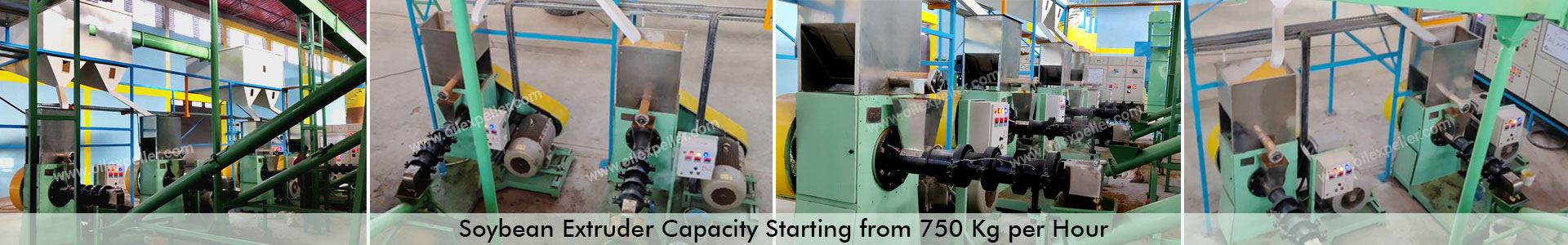 Soybean Extruder
