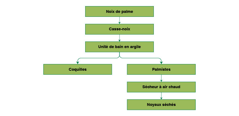 Schéma fonctionnel du procédé de séparation des amandes de palmiste et de leurs coques