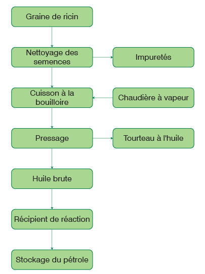 Processus de l’usine d’extraction d’huile de graines de ricin
