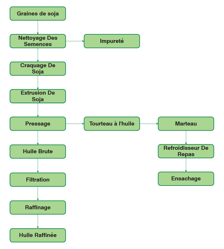 Organigramme du processus de l'usine d'huile de soja