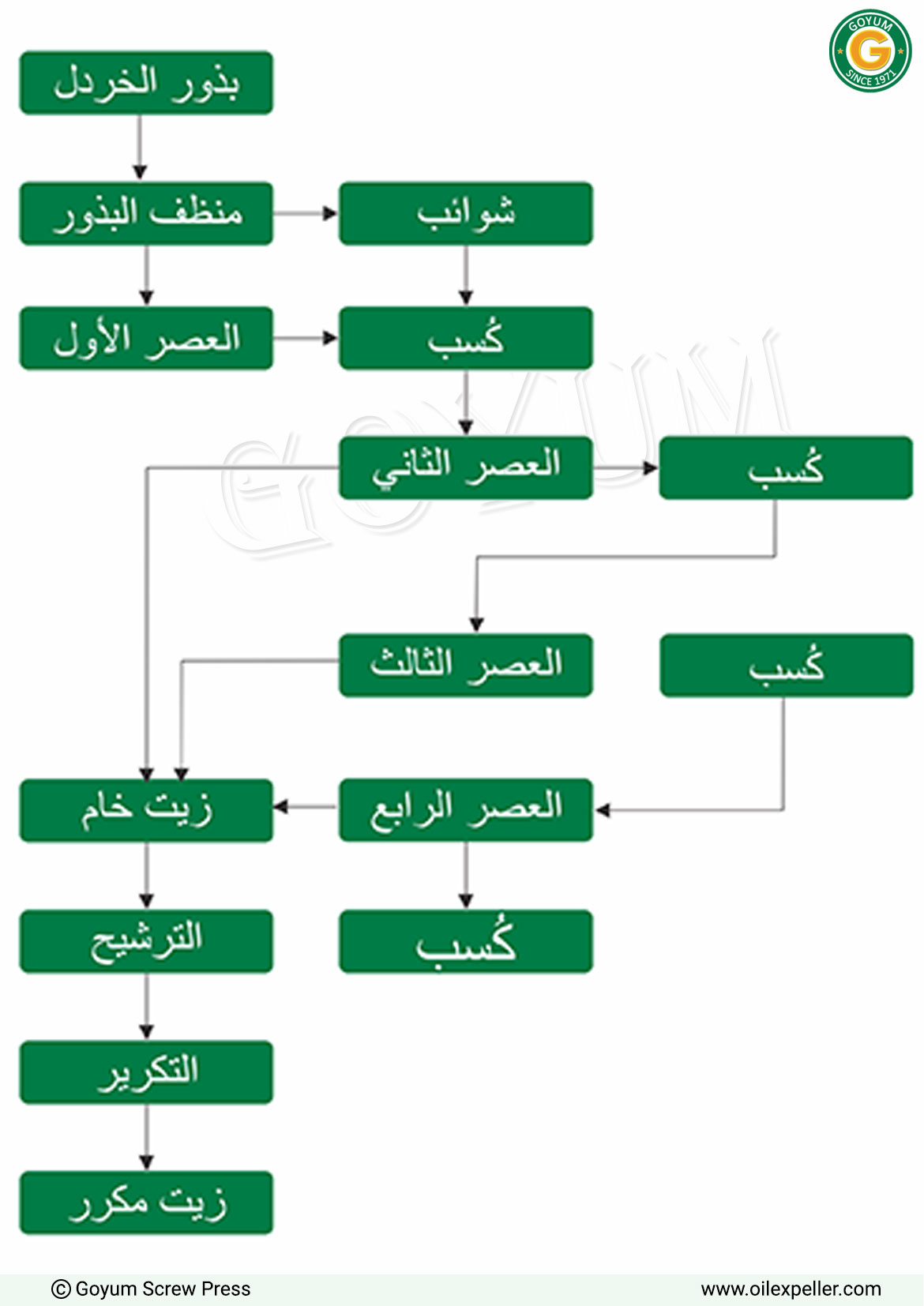 مخطط سير عملية مصنع زيت بذور الخردل بالضغط البارد