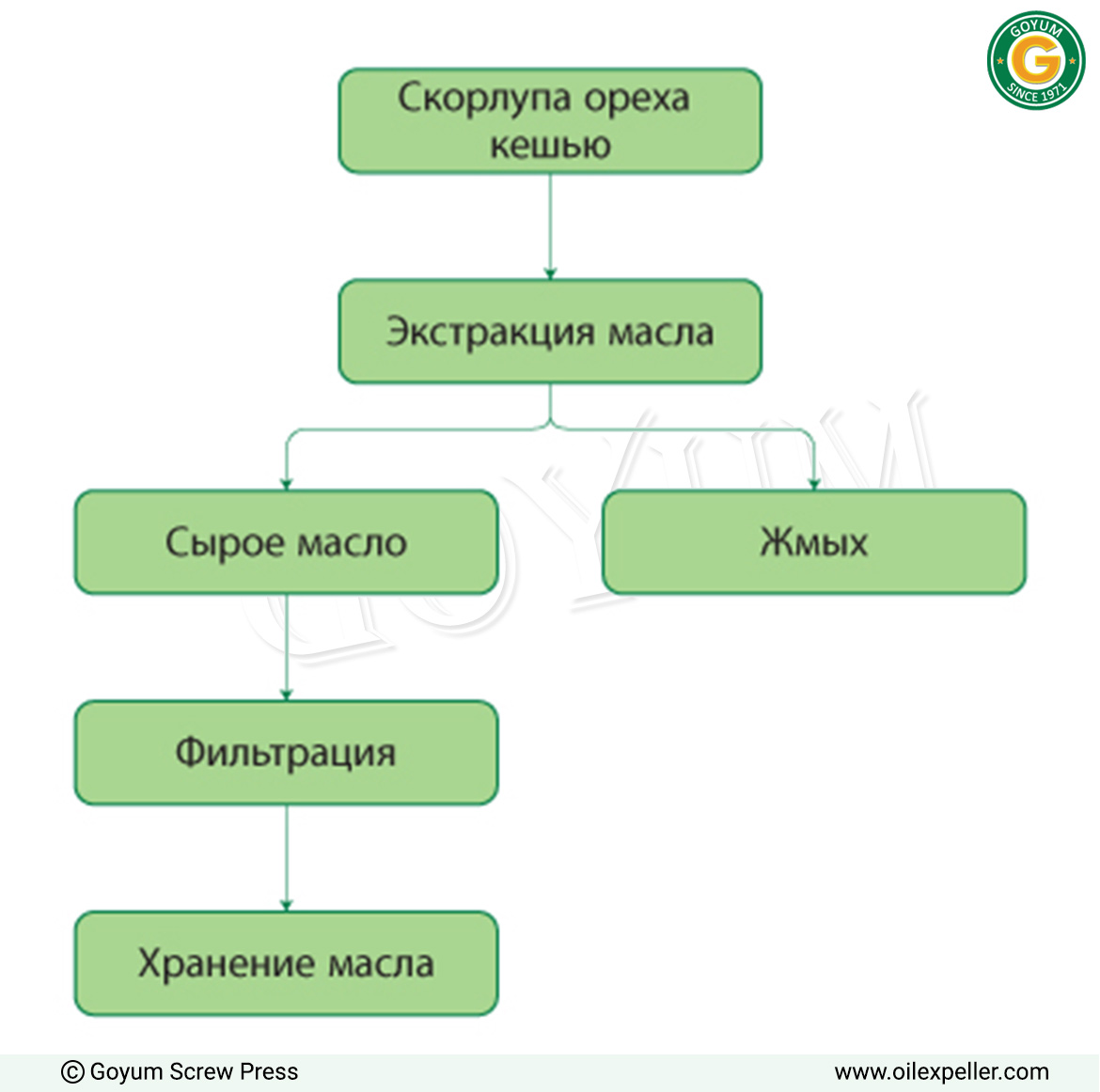 Блок-схема процесса экстракции жидкости из скорлупы кешью (CNSL)