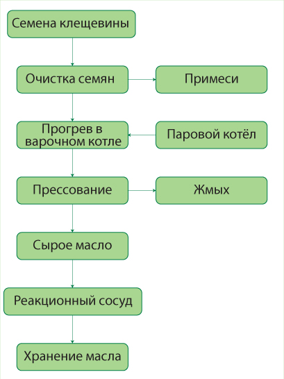 Процесс переработки касторового семени в масло на заводе