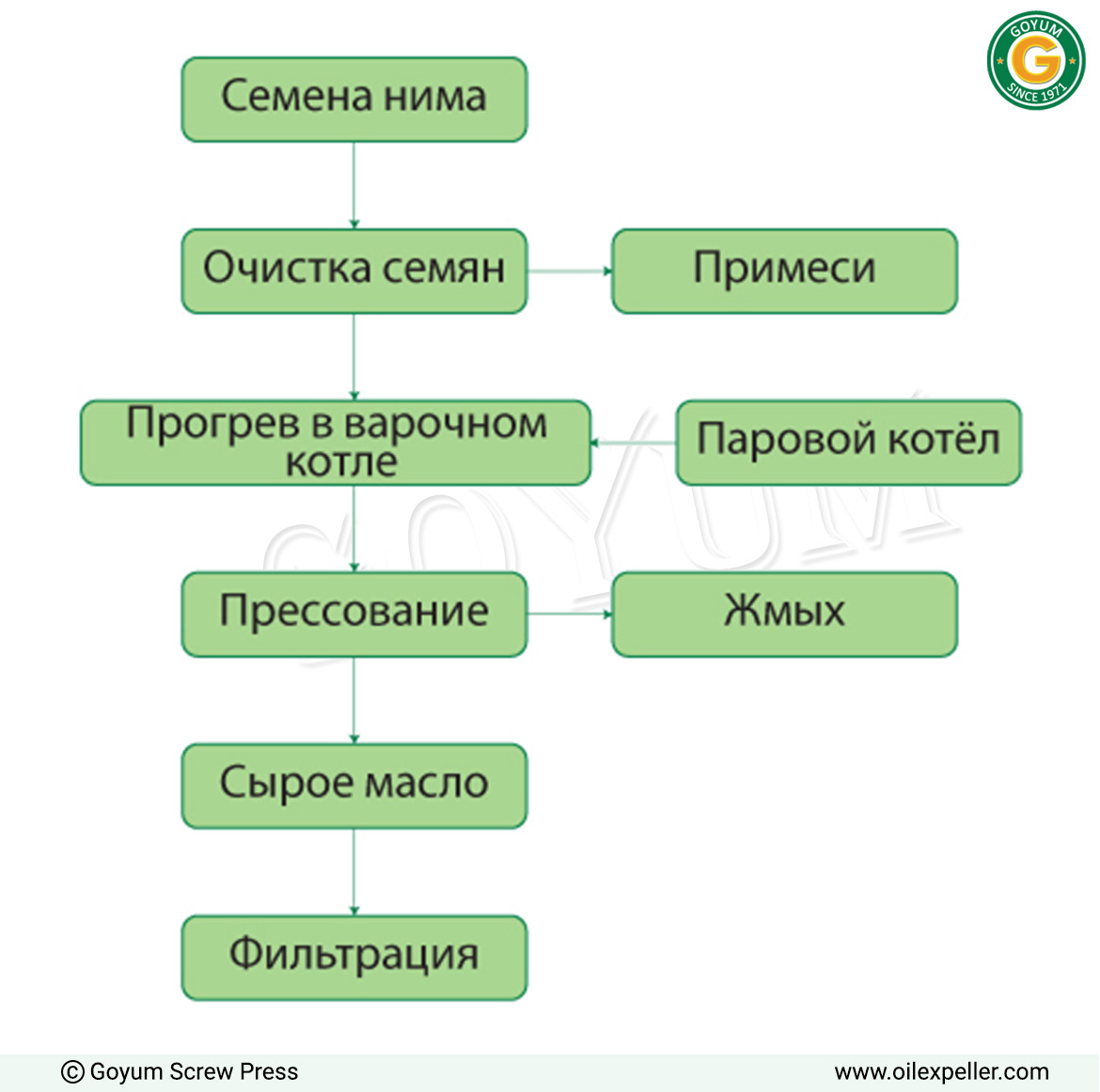 Блок-схема процесса экстракции масла из семян нима