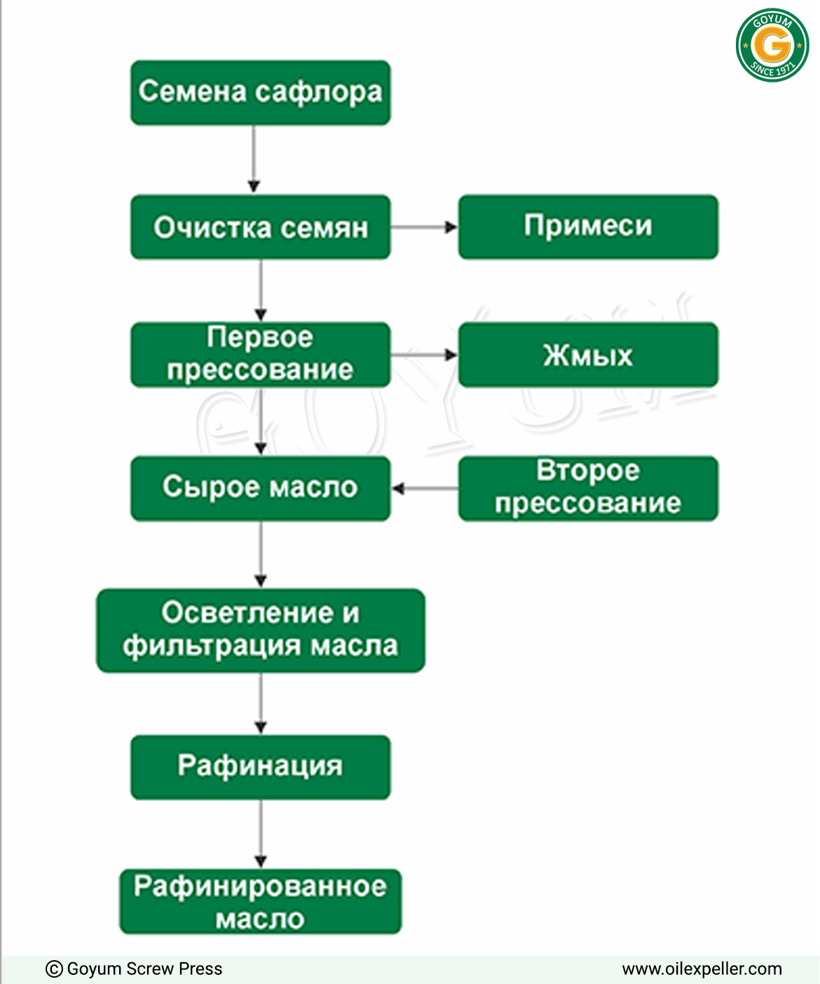 Технологический процесс завода по переработке семян сафлора в масло