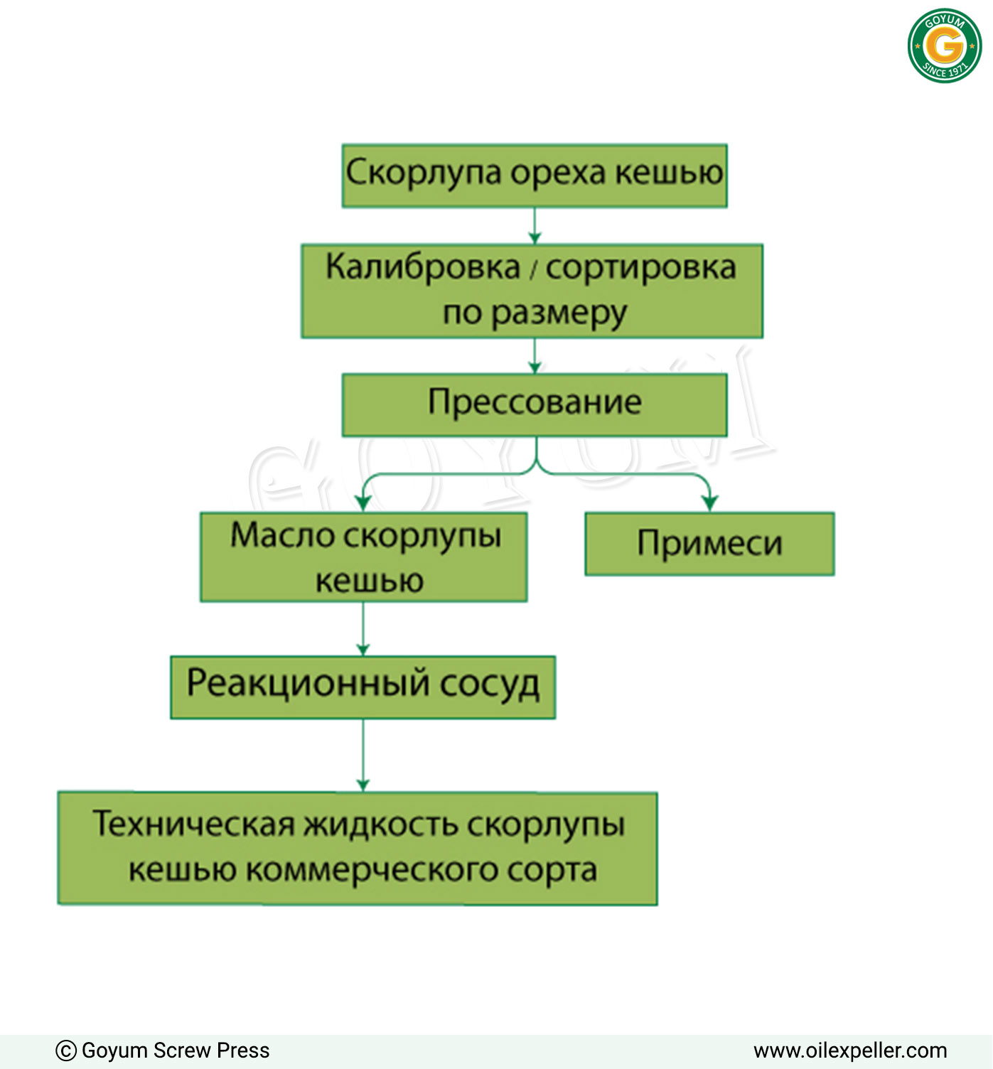 Технологическая схема процесса производства жидкости из скорлупы орехов кешью (CNSL)